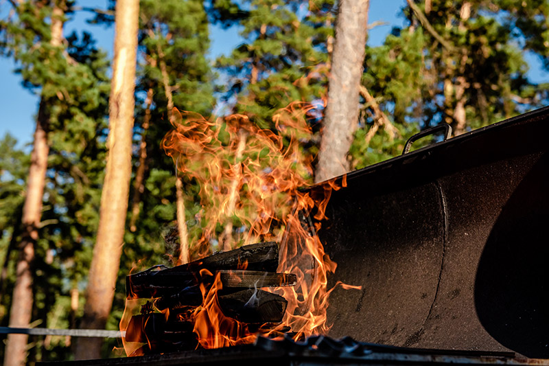 ¿Cuándo se puede cocinar en terreno forestal?