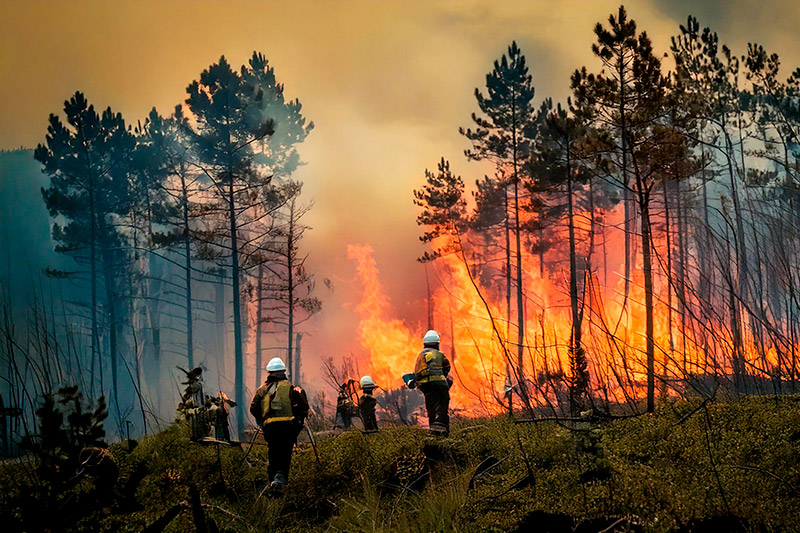 Barbacoa en el campo incendios